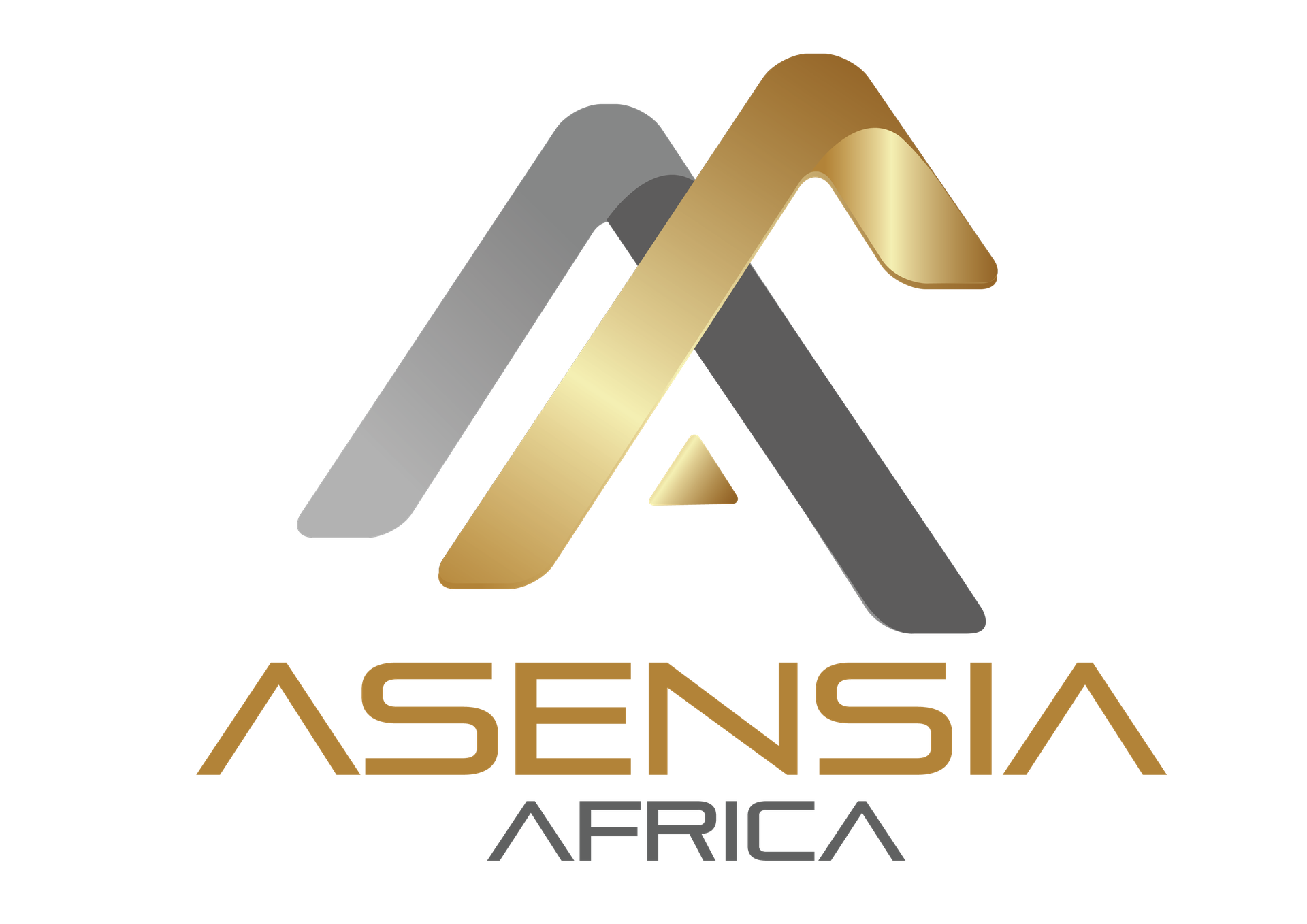 ASENSIA AFRICA GROUP